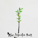 호산나 이미지