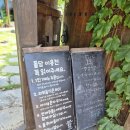돌담 | 🌿 담양의 숨은 보석, 카페 &#39;돌담&#39; 솔직 후기