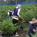 김선길농장 이미지