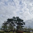 강성주복싱 칠금점 이미지