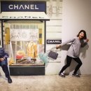 수목원테마파크 이미지