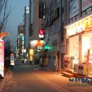 폴리파크 반송점 | 수원애견샵 폴리파크 곡반정점