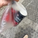 창일가든 | [세비야(1)🇪🇸] 스페인광장, 세비야 대성당, 히랄다 탑, 살바도르 성당, 메트로폴, 바르 엘 코메르시오