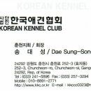 멍군애견 이미지