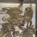 풍영정 | 25년 뜨거웠던 여름 육아일기, 먹고 사고 놀아 행복하고도 아픈 이야기