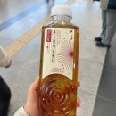 해운대로570번길 | 나 지금 기차 타고 부산 가고 있는데?[전포/해운대 당일치기]