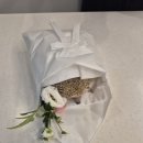 몽몽이엠파크 이미지