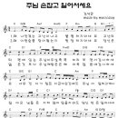 주님 손잡고 일어서세요(왜 나만 겪는 고난이냐고) - 악보 포함 이미지