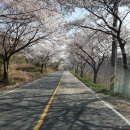 대청호펜션민박 이미지