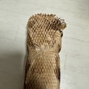 [섬유탈취제 추천] 지디포리빙 안개분사 스프레이 시트러스향 후기