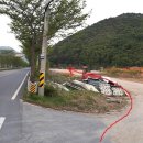 용선농장 이미지