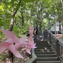 불암산철쭉동산 수국정원 카페 포레스토 나비정원 불암산산림치유센터 유아숲체험장까지 둘러보기