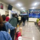 🇰🇷 울릉도 독도 여행 1일차 ▶ 묵호항 - 울릉 도동항...렌트카, 곰바위, 태하향목관광모노레일 대풍감 등대