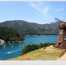 바람의 언덕 이미지