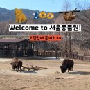 고릴라1978 - 화성시 남양시장로 79 | 과천 서울동물원 방문후기