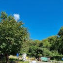 연천 경순왕릉 이미지