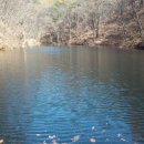 산촌버섯마을 이미지