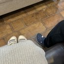 마미캐티 이미지