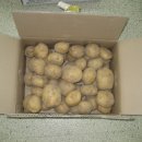 임고농업협동조합보현지소 이미지