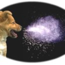 베스트메디칼 이미지