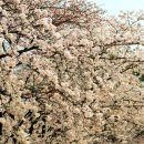 능북초등학교 이미지