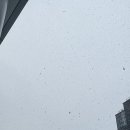 새문안로2길 이미지