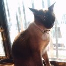 감천1동-6 이미지