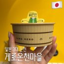 2207 | 나고야 근교 여행 일본 3대 온천 게로 온천마을