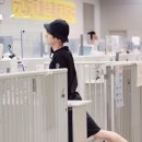 뽑아죠 이미지