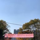 북17 | 언리미티드 에디션 2025, UE17, 서울아트북페어 후기