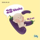 11545-12-37-29 | [임신후기] 임신 28~29주차 : 모든 동작이 느려졌다, 임산부요가, 애가 작을땐 수박!!