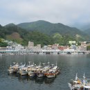 저동축산 | 울릉도 역사, 먹거리, 체험 추천