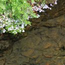 왕인박사유적지 성기동관광지 이미지