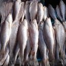 산수고원 이미지