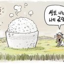 주곡정미소 | [판다곰의 음식여행] 12 쌀은 우리의 로망이었다