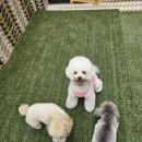 멍동댕유치원 이미지