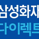 애니카랜드 상동점 이미지