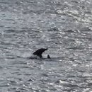 대정시크릿풀빌라앤리조트 | 서귀포풀빌라 대정시크릿풀빌라리조트 제주도펜션추천