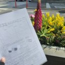 김용식 사무소 | 구비서류/제출서류 양식/증인 서명/준비물 &amp; 동작구청 직접 방문 후기&amp; 등록기준지 변경신청 꿀팁 대방출