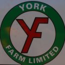 잠비아의 자존심 York Farm 이미지