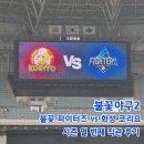 경기대신물류(주) | 불꽃야구 시즌2 직관 후기 불꽃 파이터즈 VS 화성 코리요 임태윤 선성권 선수 마지막 경기 스포X