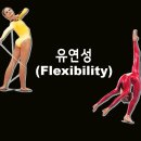 라이즈짐 곤지암 이미지