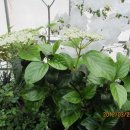 동이농장 이미지