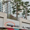 세븐일레븐 송파헬리오점 | [커브필라테스] 헬리오시티 남자 필라테스 (1:1) 체험 후기입니다💪🏻 (코어 집중을 곁들인..)