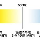 켈빈조명 이미지