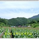 공인중개사남한강사무소 이미지