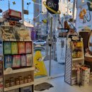 진영냥이 이미지