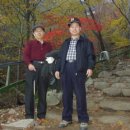 팔골 이미지