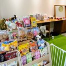 디어마이독 이미지