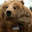 곰방와